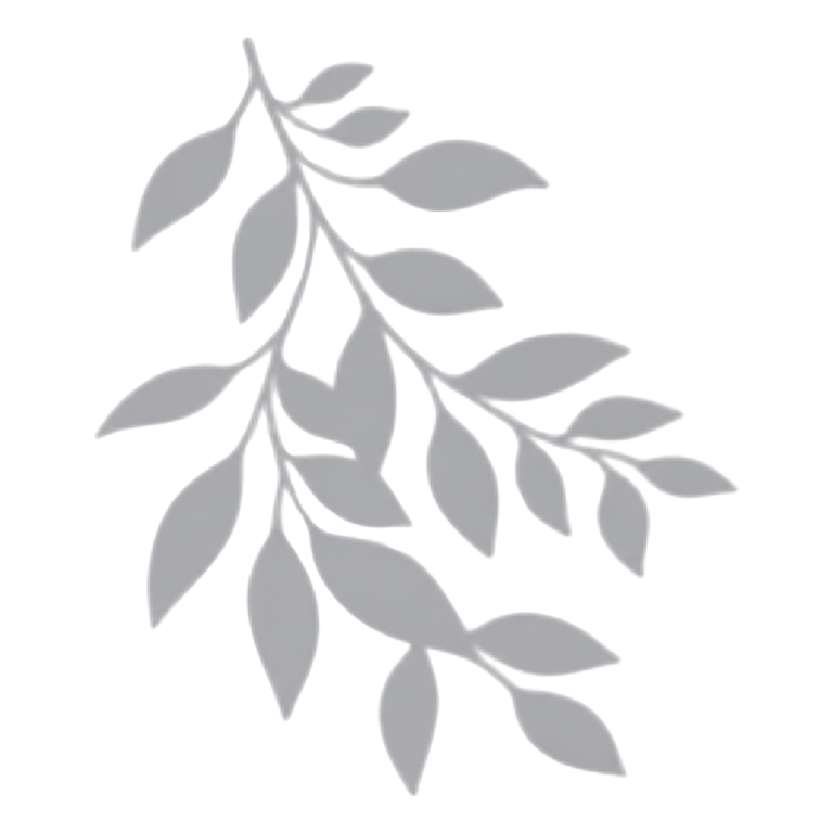 Leaf Branch Shadow Background