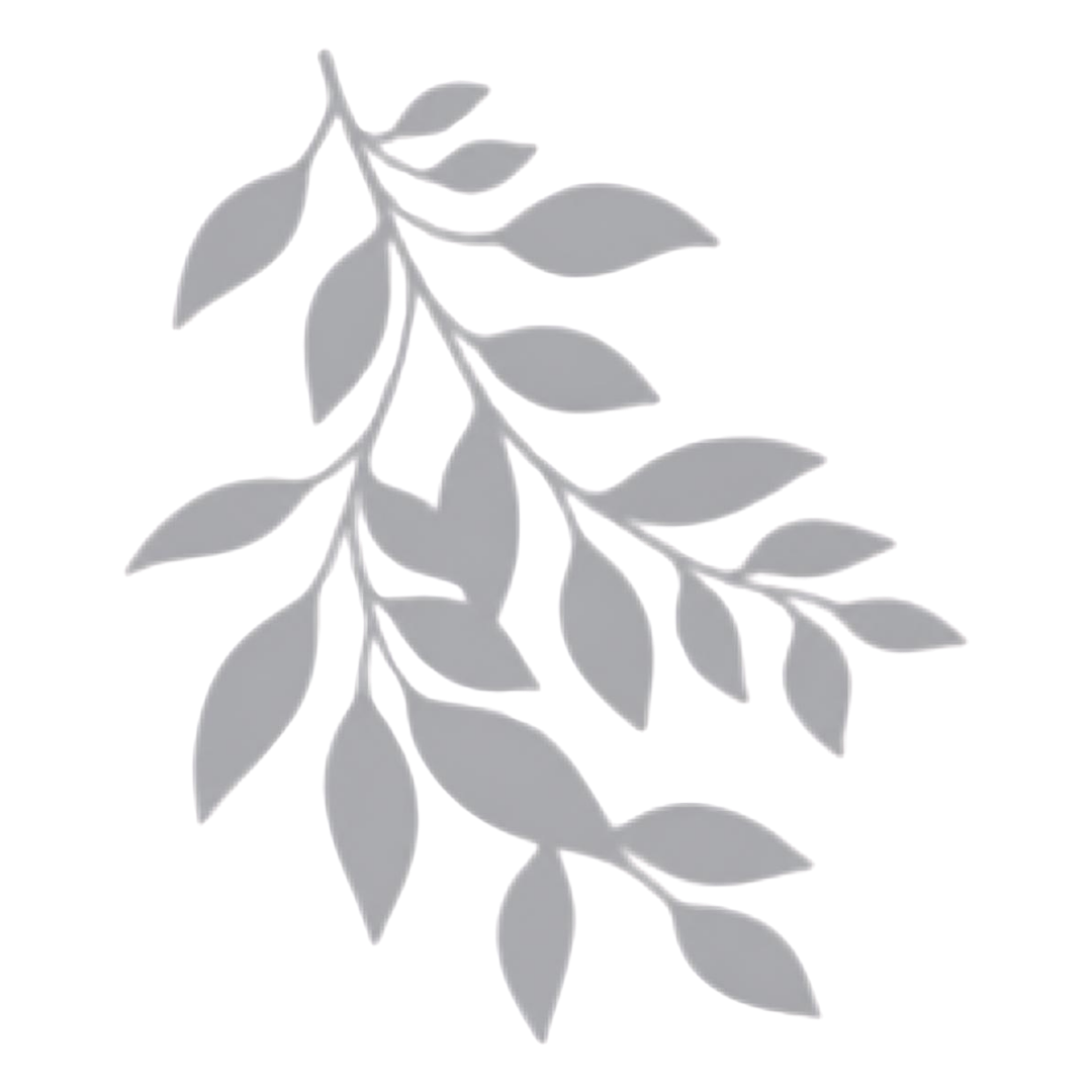 Leaf Branch Shadow Background