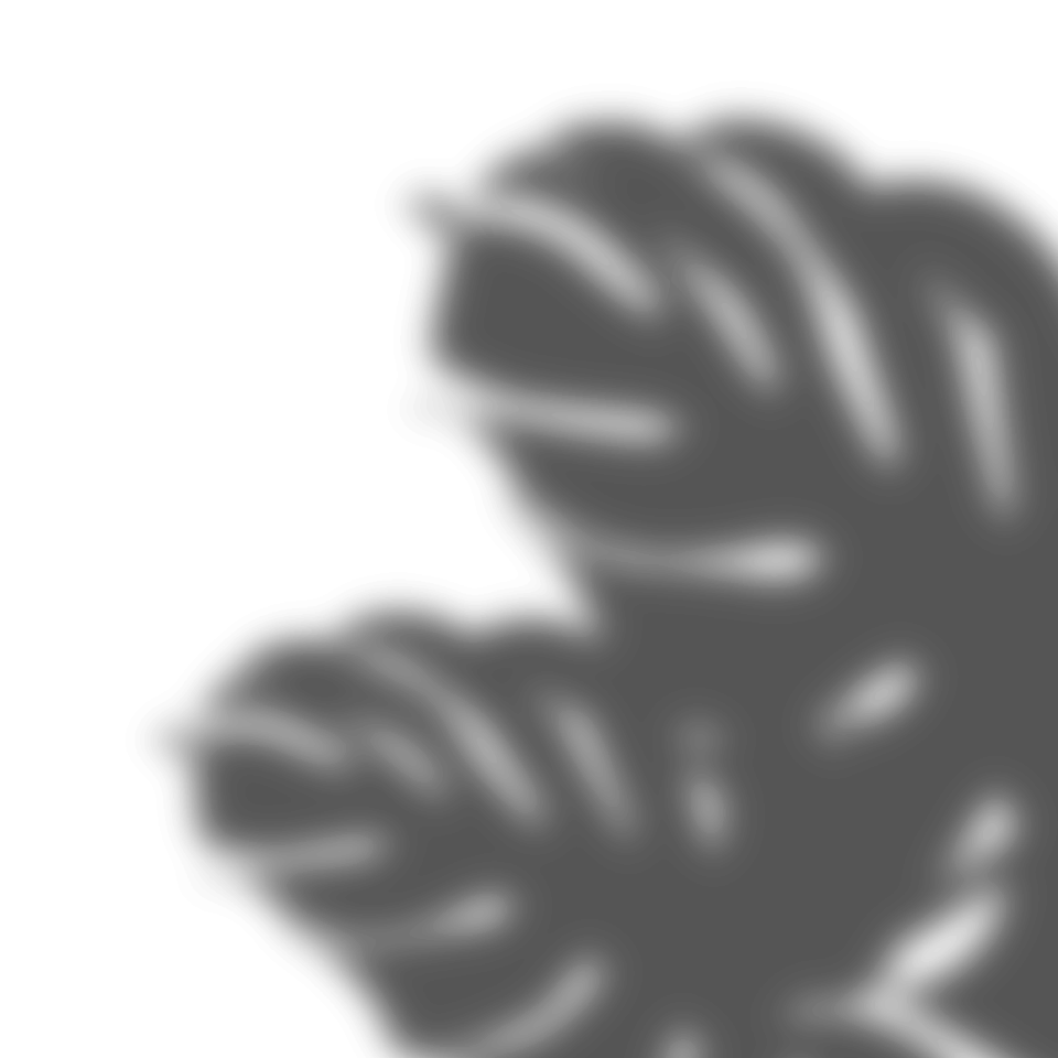 Shadow Plant PNG Image