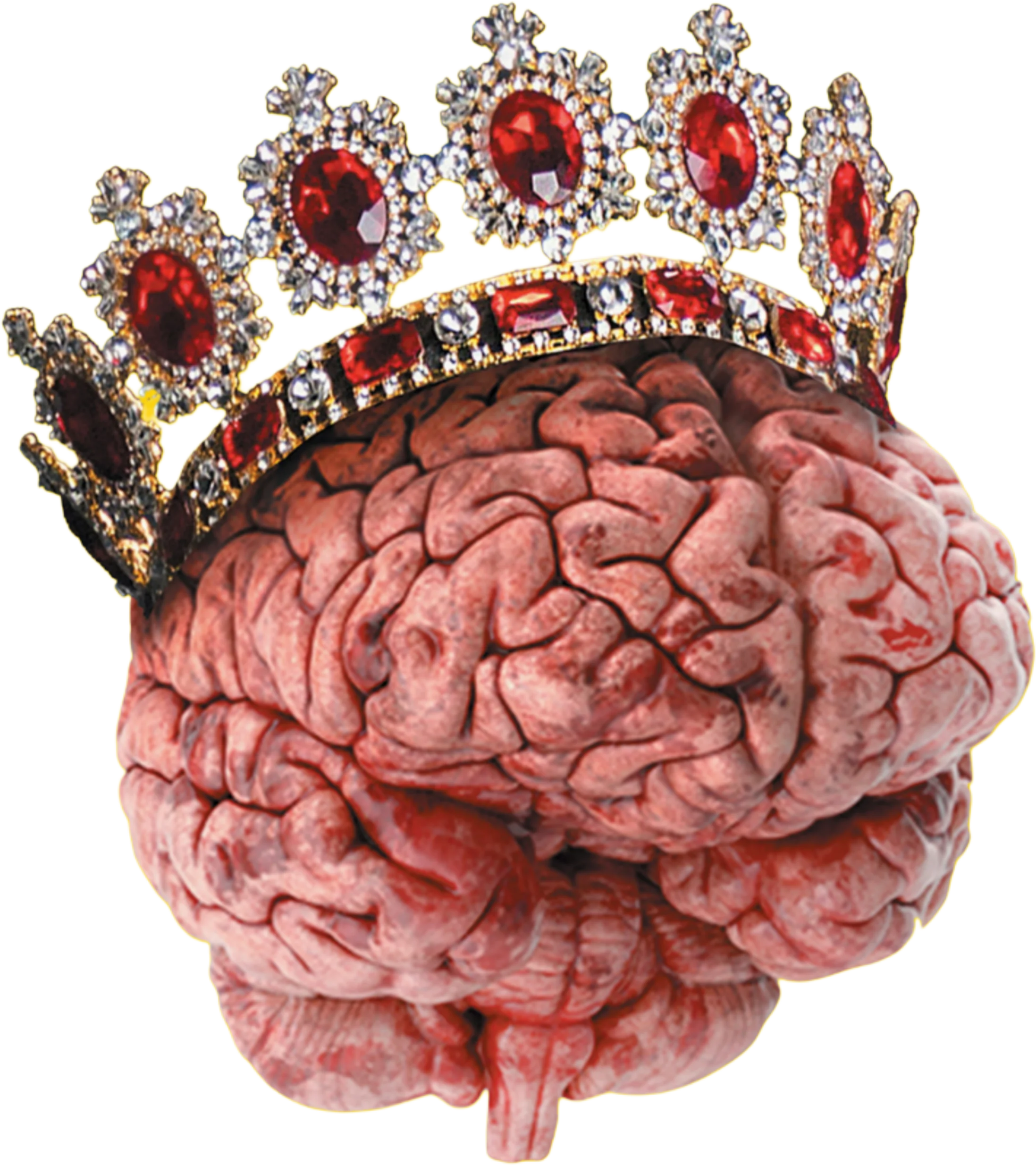 Crown PNG – Royal Crown on Brain Transparent Image