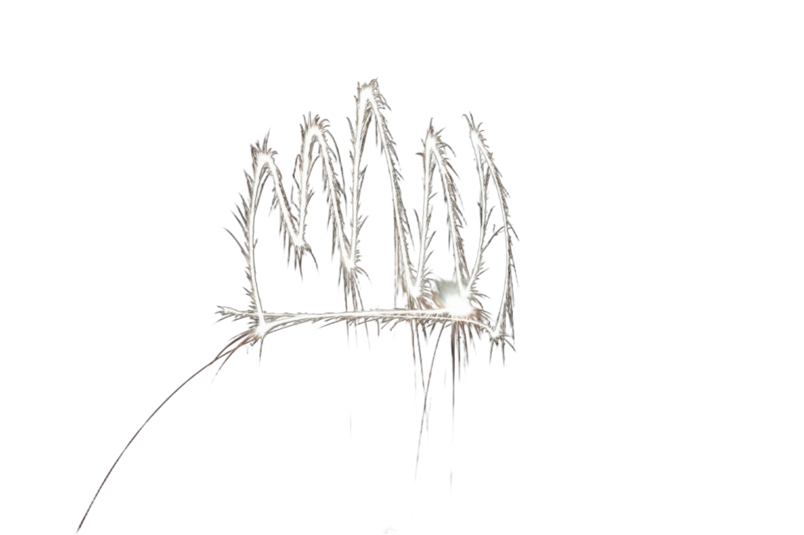 Crown PNG – White Light Crown Transparent Image