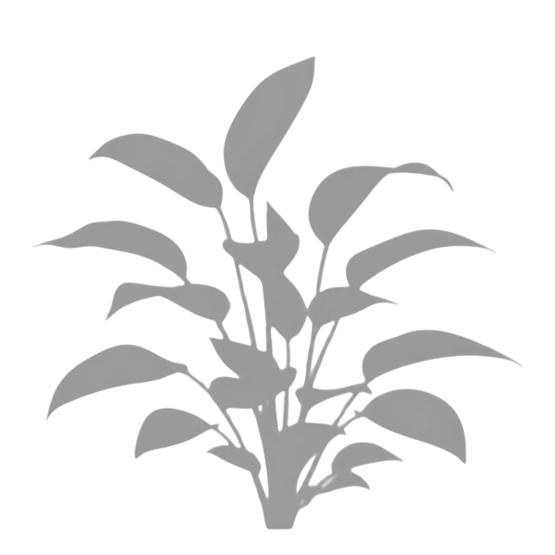 Transparent PNG of an abstract black shadow background.