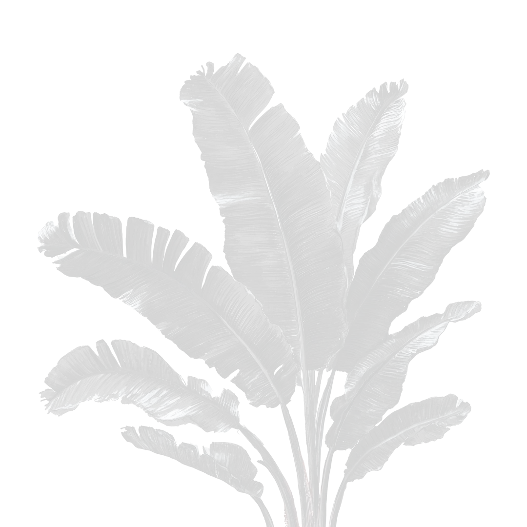 Transparent PNG of banana leaves casting shadows on a background.