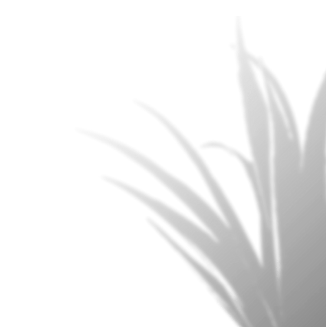 Black curved shadow background with a smooth, flowing design.
