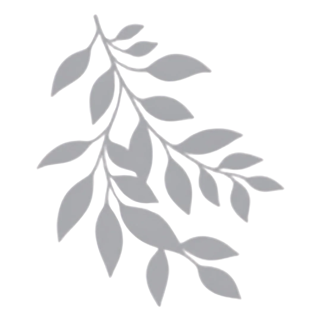 Leaf branch shadow background, showcasing intricate shadow details.