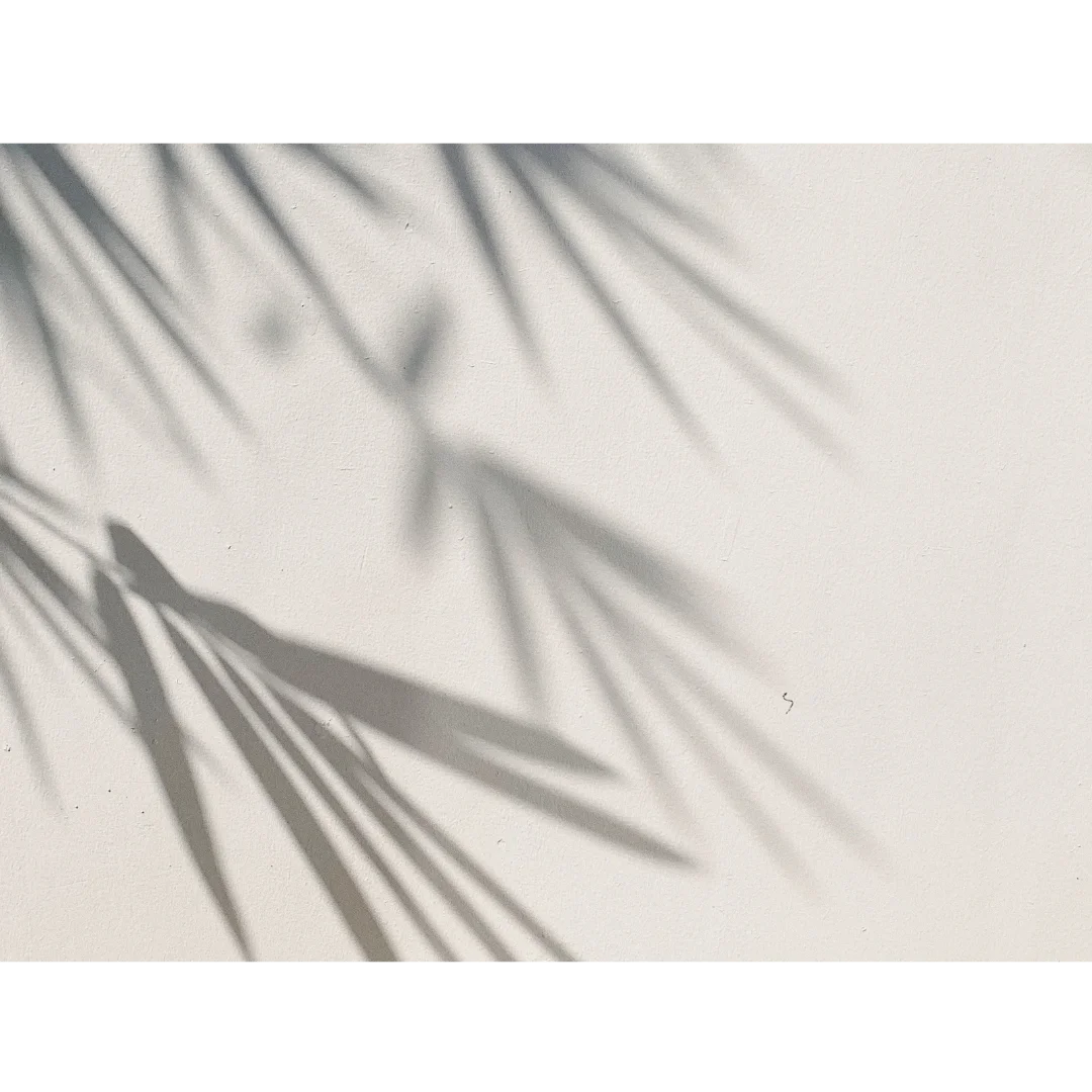 Transparent PNG of a white wall with a window shadow effect.